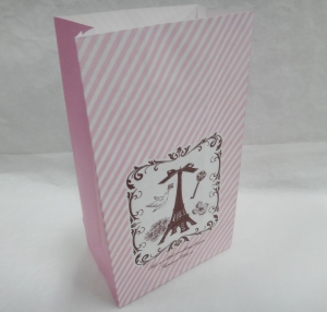 Пакет саше (комплект из 10 шт размер 23Х13Х8 см )