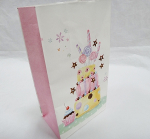 Пакет саше (комплект из 10 шт размер 23Х13Х8 см )