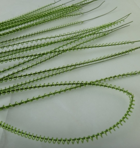 Проволока флористическая  1 метр ( 5шт ).