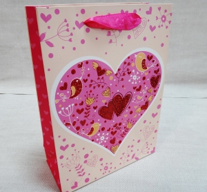 Пакет подарочный 0042 (23х18х10см )