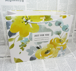 Пакет подарочный 82010 (26х19х10см )