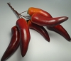 Перец на проволочке 038022(6 шт )